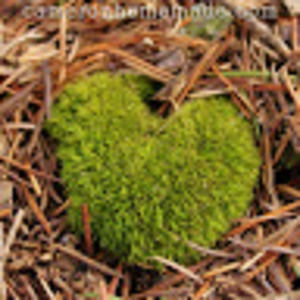 Meet your Posher, Cameron